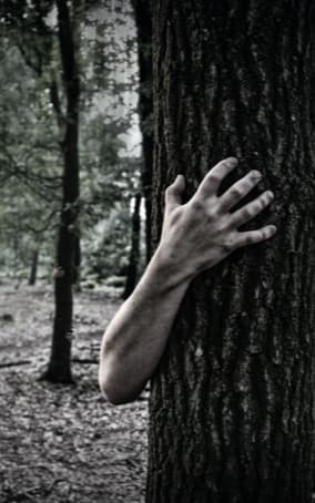 Cover photo for Infestation
